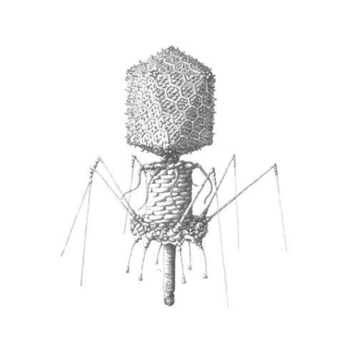 Phage Plus (1)